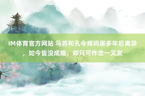 IM体育官方网站 马苏和孔令辉同居多年后离异，如今皆没成婚，却只可作念一又友