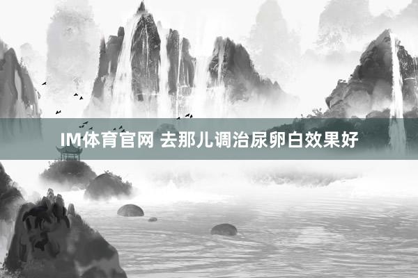 IM体育官网 去那儿调治尿卵白效果好
