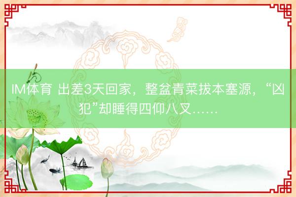 IM体育 出差3天回家，整盆青菜拔本塞源，“凶犯”却睡得四仰八叉……