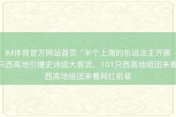 IM体育官方网站首页 “半个上海的东说念主齐挪动了”! 1只西高地引爆史诗级大客流，101只西高地组团来看网红前辈